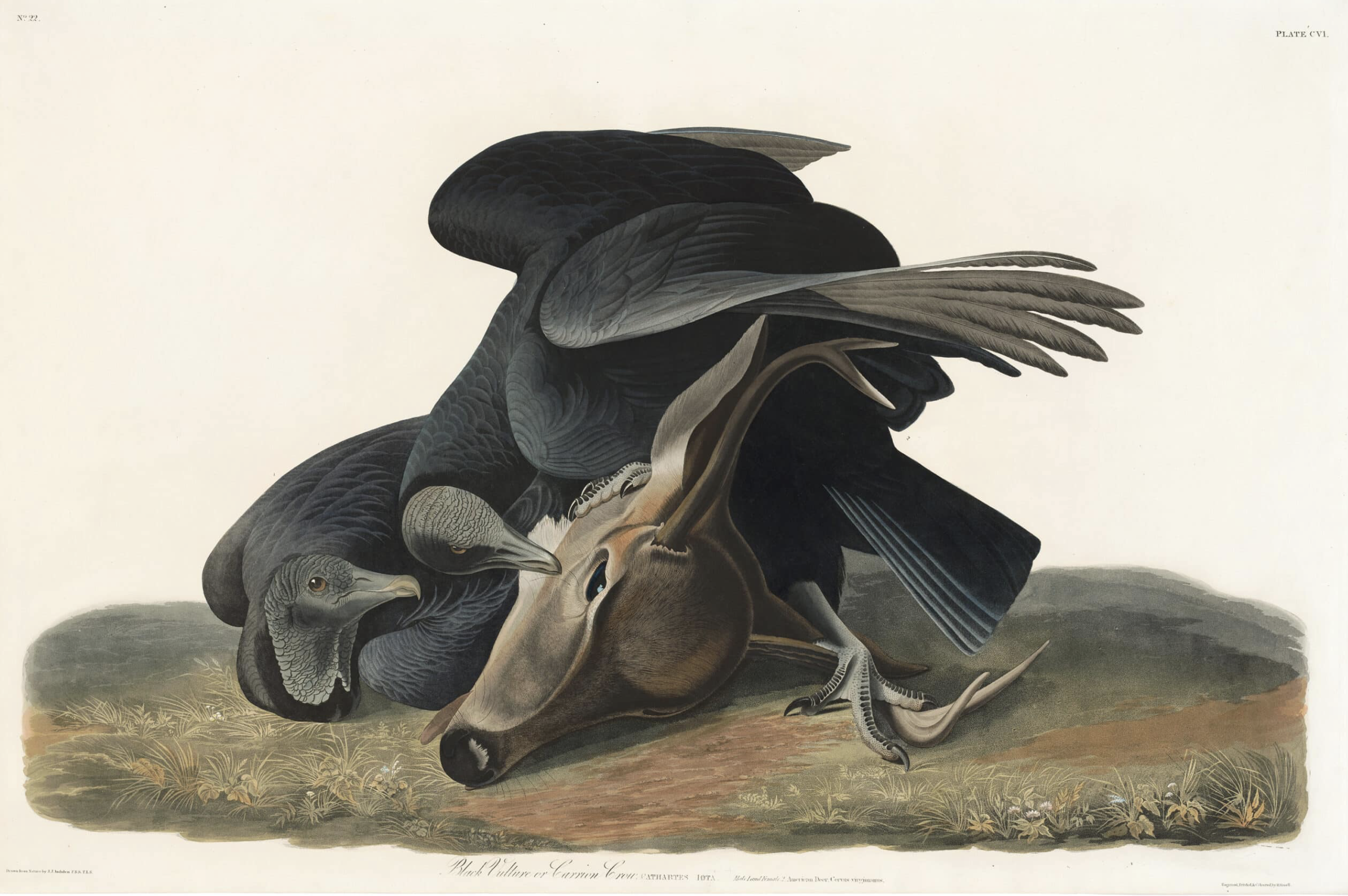 Homepage photograph