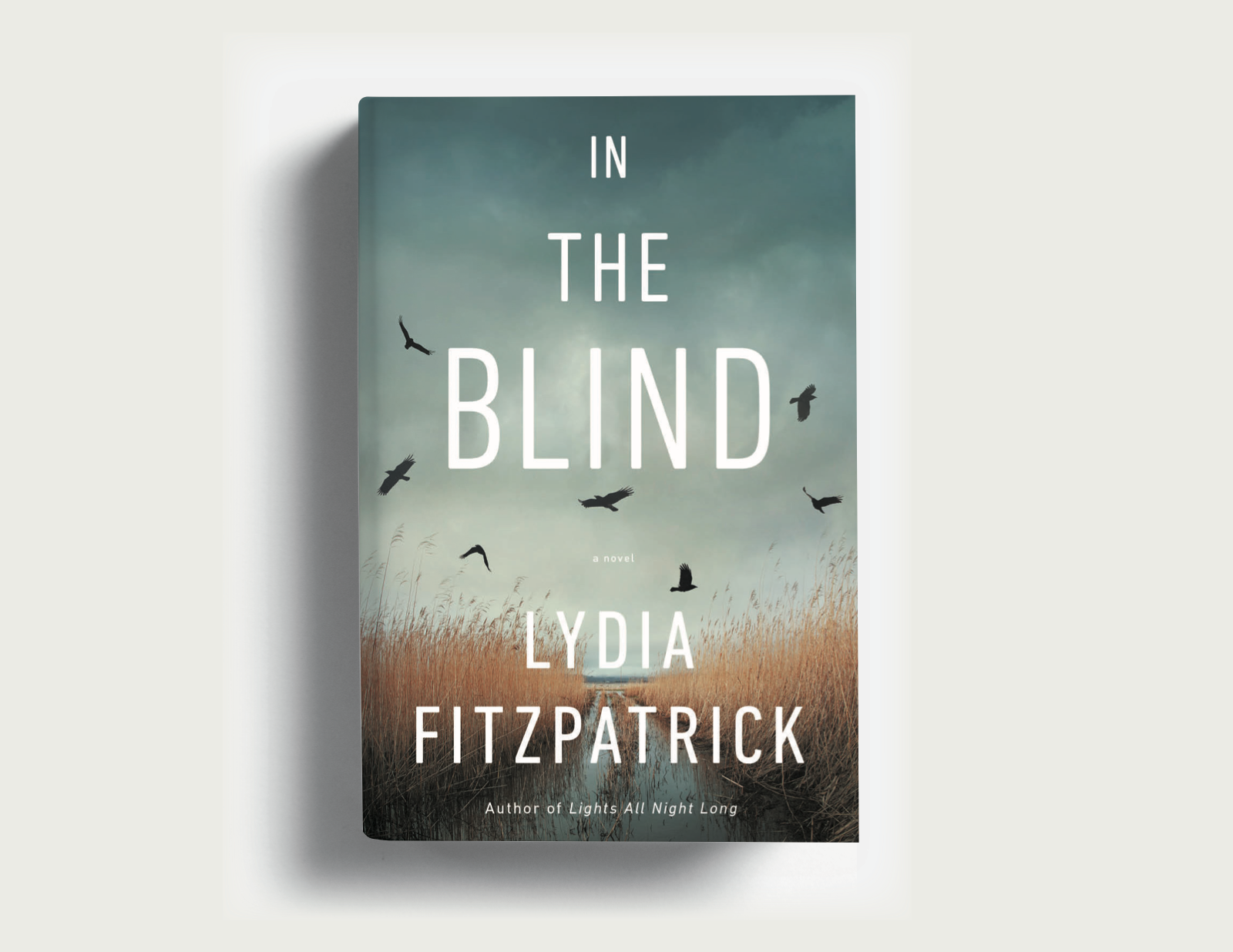 Jacket design for In the Blind